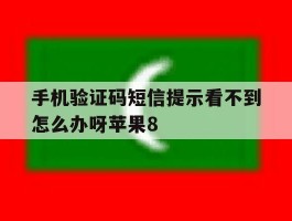 手机验证码短信提示看不到怎么办呀苹果8