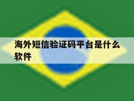 海外短信验证码平台是什么软件