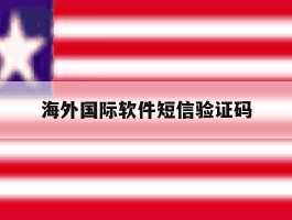 海外国际软件短信验证码