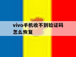 vivo手机收不到验证码怎么恢复
