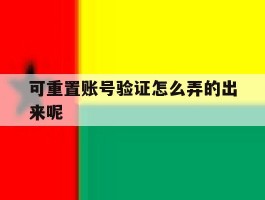 可重置账号验证怎么弄的出来呢