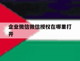 企业微信微信授权在哪里打开