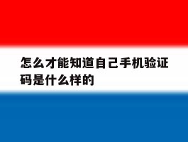 怎么才能知道自己手机验证码是什么样的