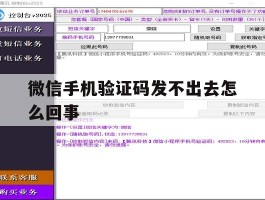 微信手机验证码发不出去怎么回事