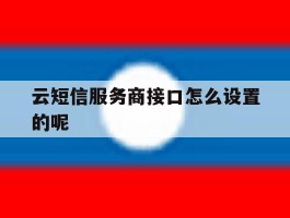 云短信服务商接口怎么设置的呢