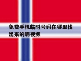 免费手机临时号码在哪里找出来的呢视频