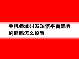 手机验证码发短信平台是真的吗吗怎么设置