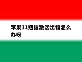 苹果11短信激活出错怎么办呀