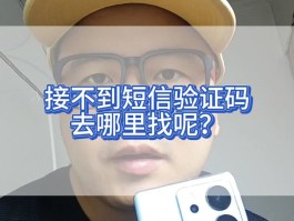 接收验证码平台信息怎么填的呢视频