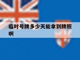 临时号牌多少天能拿到牌照啊