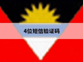 4位短信验证码