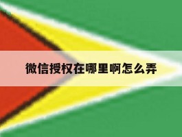 微信授权在哪里啊怎么弄