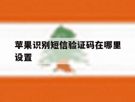 苹果识别短信验证码在哪里设置