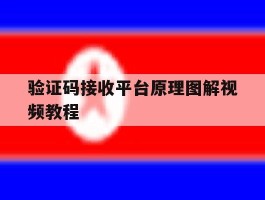 验证码接收平台原理图解视频教程