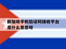 新加坡手机验证码接收平台是什么意思呀的简单介绍