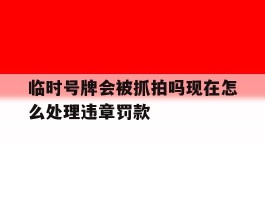 临时号牌会被抓拍吗现在怎么处理违章罚款