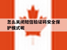 怎么关闭短信验证码安全保护模式呢