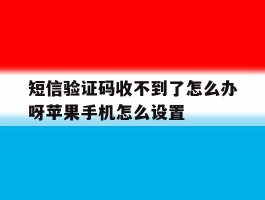 短信验证码收不到了怎么办呀苹果手机怎么设置的简单介绍