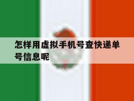 怎样用虚拟手机号查快递单号信息呢