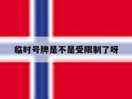 临时号牌是不是受限制了呀