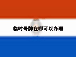 包含临时号牌在哪可以办理的词条
