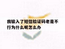 我输入了短信验证码老是不行为什么呢怎么办的简单介绍