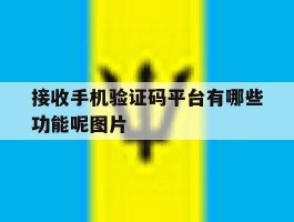 接收手机验证码平台有哪些功能呢图片