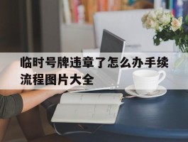 临时号牌违章了怎么办手续流程图片大全