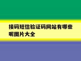 接码短信验证码网站有哪些呢图片大全