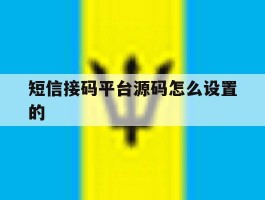 短信接码平台源码怎么设置的
