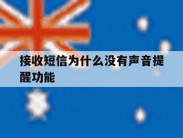 接收短信为什么没有声音提醒功能
