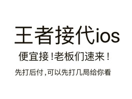 接单平台官网王者