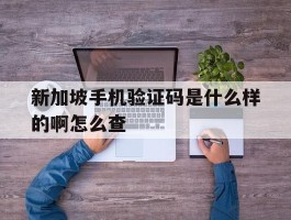 新加坡手机验证码是什么样的啊怎么查