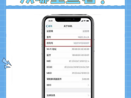 可接收验证码虚拟手机号