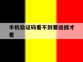 手机验证码看不到要返回才看