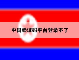 中国验证码平台登录不了
