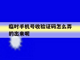 临时手机号收验证码怎么弄的出来呢