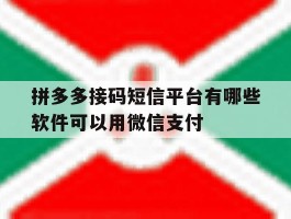 拼多多接码短信平台有哪些软件可以用微信支付的简单介绍
