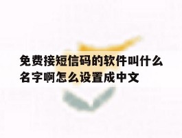 关于免费接短信码的软件叫什么名字啊怎么设置成中文的信息