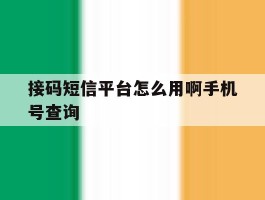 接码短信平台怎么用啊手机号查询