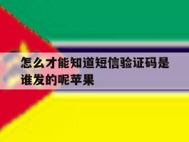 怎么才能知道短信验证码是谁发的呢苹果
