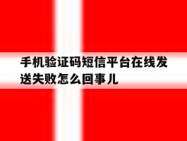 手机验证码短信平台在线发送失败怎么回事儿的简单介绍