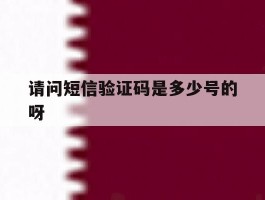 请问短信验证码是多少号的呀