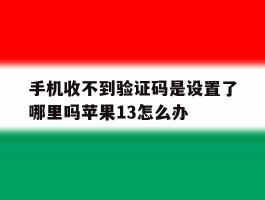 关于手机收不到验证码是设置了哪里吗苹果13怎么办的信息