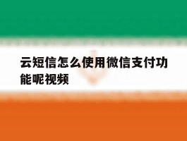云短信怎么使用微信支付功能呢视频