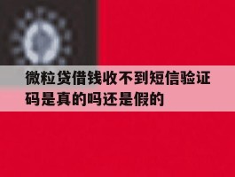 包含微粒贷借钱收不到短信验证码是真的吗还是假的的词条