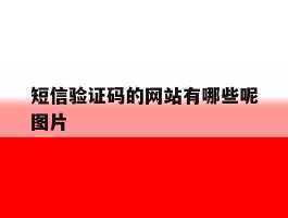 短信验证码的网站有哪些呢图片