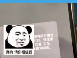国内短信接收国外电话