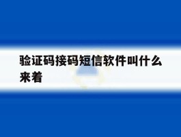 验证码接码短信软件叫什么来着