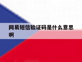 网易短信验证码是什么意思啊